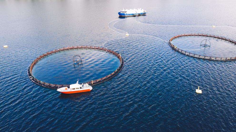 aquaculture