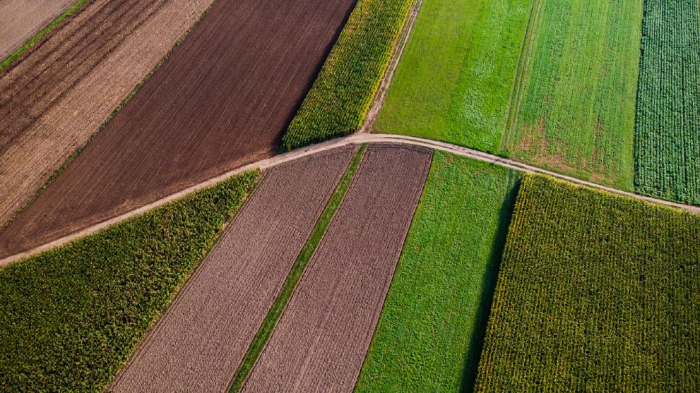 agricultural fields