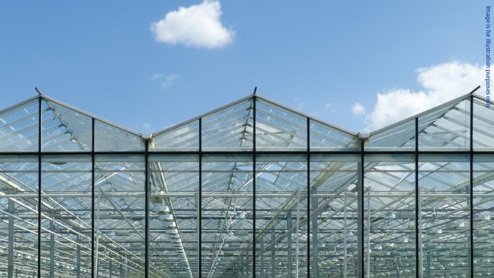 greenhouse