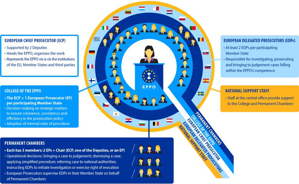 Infographic explains the EPPO's organisational structure