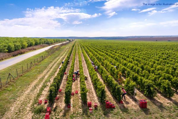 2026 04 24 Cluj-Napoca (Agri subsidies) PIC